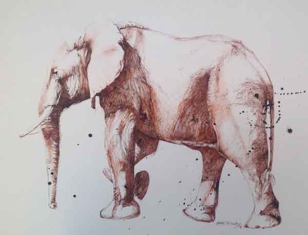 Elephant - Watercolor by Hettie Rowley