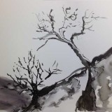 Trees in Pen and Wash by Jolene