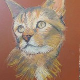 Cat by Vicki Packau