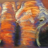 Elephants in pastels by Julie Ann Canal