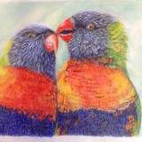 Parrots in pastels by Jolene Hollingsworth