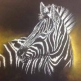 Zebra in pastels