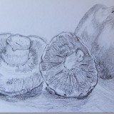 These sketches will be used to create mono prints