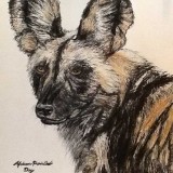Pastel drawing of Wild Dog by Margaret