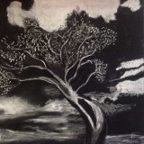 Tree in Charcoal drawn by Wilna van der Merwe
