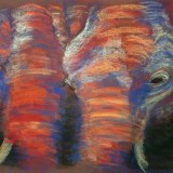 Elephants drawn in pastels by Julie Ann Canal