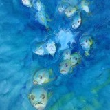 Watercolor Fish by Jolene Hollingsworth