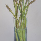 Asparagus in pencil and watercolour pencils
