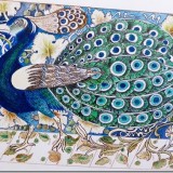 Peacock. Watercolour and pen