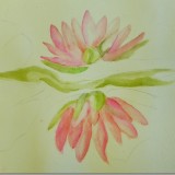 Waterlilies in watercolour/work in progress