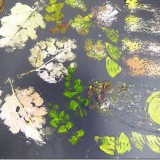 Leaf prints, vegetable prints and stencil prints using textures ribbon and doilies!
